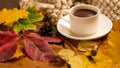 Autumn, fall leaves, a hot cup of coffee and a warm scarf on the background of a wooden table. Seasonal, morning coffee, Sunday re Royalty Free Stock Photo