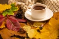 Autumn, fall leaves, a hot cup of coffee and a warm scarf on the background of a wooden table. Seasonal, morning coffee, Sunday re Royalty Free Stock Photo