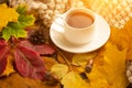 Autumn, fall leaves, a hot cup of coffee and a warm scarf on the background of a wooden table. Seasonal, morning coffee, Sunday re Royalty Free Stock Photo