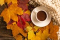 Autumn, fall leaves, a hot cup of coffee and a warm scarf on the background of a wooden table. Seasonal, morning coffee, Sunday re Royalty Free Stock Photo