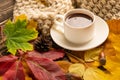Autumn, fall leaves, a hot cup of coffee and a warm scarf on the background of a wooden table. Seasonal, morning coffee, Sunday re Royalty Free Stock Photo