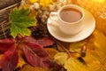 Autumn, fall leaves, a hot cup of coffee and a warm scarf on the background of a wooden table. Seasonal, morning coffee, Sunday re Royalty Free Stock Photo