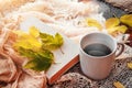 Autumn, fall leaves, hot steaming cup of coffee and a warm scarf on wooden table background. Seasonal, morning coffee Royalty Free Stock Photo