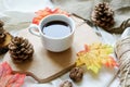 Autumn fall leaves, hot steaming cup of coffee on white background. relaxing and still life concept Royalty Free Stock Photo