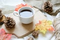 Autumn fall leaves, hot steaming cup of coffee on white background. relaxing and still life concept Royalty Free Stock Photo