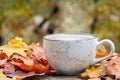 Autumn, fall leaves, hot steaming cup of coffee on wooden table background. Seasonal, morning coffee, Sunday relaxing Royalty Free Stock Photo