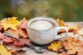 Autumn, fall leaves, hot steaming cup of coffee on wooden table background. Seasonal, morning coffee, Sunday relaxing Royalty Free Stock Photo