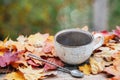Autumn, fall leaves, hot steaming cup of coffee on wooden table background. Seasonal, morning coffee, Sunday relaxing Royalty Free Stock Photo