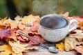 Autumn, fall leaves, hot steaming cup of coffee on wooden table background. Seasonal, morning coffee, Sunday relaxing and still li Royalty Free Stock Photo