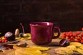 Autumn, fall leaves, hot steaming cup of coffee on wooden table background. Sunday morning coffee relaxing and still Royalty Free Stock Photo