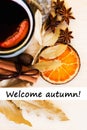 Autumn, fall leaves, hot steaming cup of glint wine Royalty Free Stock Photo