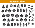 Autumn fall leaves silhouettes set in black color