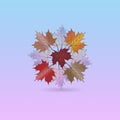 Autumn fall maple leaves bunch concept icon logo vector