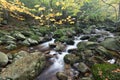 Autumn fall mountain waterfall stream in the rocks with colorful fallen dry leaves, landscape, natural seasonal background Royalty Free Stock Photo