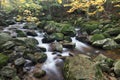 Autumn fall mountain waterfall stream in the rocks with colorful fallen dry leaves, landscape, natural seasonal background Royalty Free Stock Photo