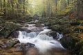 Autumn fall mountain waterfall stream in the rocks with colorful fallen dry leaves, landscape, natural seasonal background Royalty Free Stock Photo