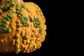 Autumn and fall orange and green harvest gourd pumpkin on black background slide