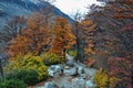 Autumn / Fall in Parque Nacional Torres del Paine, Chile Royalty Free Stock Photo