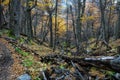 Autumn / Fall in Parque Nacional Torres del Paine, Chile Royalty Free Stock Photo