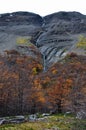 Autumn / Fall in Parque Nacional Torres del Paine, Chile Royalty Free Stock Photo