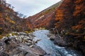 Autumn / Fall in Parque Nacional Torres del Paine, Chile Royalty Free Stock Photo