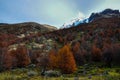 Autumn / Fall in Parque Nacional Torres del Paine, Chile Royalty Free Stock Photo