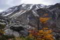 Autumn / Fall in Parque Nacional Torres del Paine, Chile Royalty Free Stock Photo