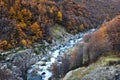 Autumn / Fall in Parque Nacional Torres del Paine, Chile Royalty Free Stock Photo