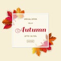 Autumn or fall sale background,discount season with colorful leaves for advertising,shopping promotion,web banner or poster Royalty Free Stock Photo