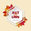 Autumn or fall sale banner background on hexagon shape