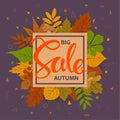 Autumn fall sale frame banner background Royalty Free Stock Photo