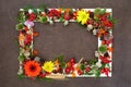 Autumn Fall Samhain Harvest Festival Background Border