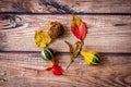 Autumn or fall scene background with leaves, pumpkins and chesnut.Minimal nature seasonal concept.Flat lay composition Royalty Free Stock Photo