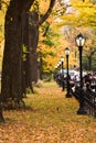 Autumn. Fall scene. Beautiful Autumnal park.