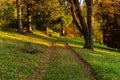 Autumn, Fall scene. Beautiful Autumnal park with pathway. Beauty nature scene. Royalty Free Stock Photo