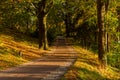 Autumn, Fall scene. Beautiful Autumnal park with pathway. Beauty nature scene. Royalty Free Stock Photo