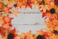 Autumn and Fall season background. Fake maple leaf on wood table. Harvest cornucopia and Thanksgiving day