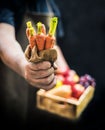 Autumn and Fall season. Harvest cornucopia and Thanksgiving day concept Royalty Free Stock Photo