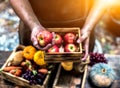 Autumn and Fall season. Harvest cornucopia and Thanksgiving day concept Royalty Free Stock Photo