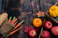 Autumn and Fall season. Harvest cornucopia and Thanksgiving day concept Royalty Free Stock Photo