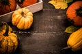 Autumn and Fall season. Harvest cornucopia and Thanksgiving day concept Royalty Free Stock Photo