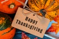 Autumn and Fall season. Harvest cornucopia and Thanksgiving day concept Royalty Free Stock Photo