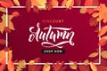 Autumn Fall Season Sale Banner. Colorful fall leaves and advertising discount text. Vector background design