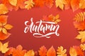 Autumn Fall Season Banner. Colorful fall leaves and advertising discount text. Vector background design