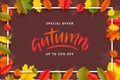 Autumn Fall Season Sale Banner. Colorful fall leaves and advertising discount text. Vector background design