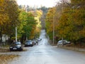 Autumn fall in the town city. Colourful red and yellow trees in the street.