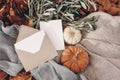 Autumn, fall stationery mockup scene. Blank greeting cards, invitation, craft paper envelope, olive branches, pumpkins