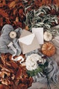 Autumn, fall stationery mockup scene. Blank greeting cards, invitation, craft paper envelope, olive branches, pumpkins