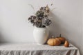 Autumn, fall still life. Big ceramic vase with dry hydrangea flowers, grass boho bouquet. Orange pumpkins and pear fruit Royalty Free Stock Photo