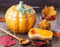 Autumn (fall) still life with pumpkin and pumpkin pot Royalty Free Stock Photo